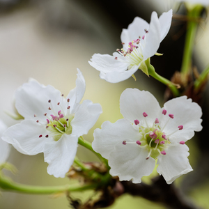 高H喷水荡肉欲文小黄书APP
